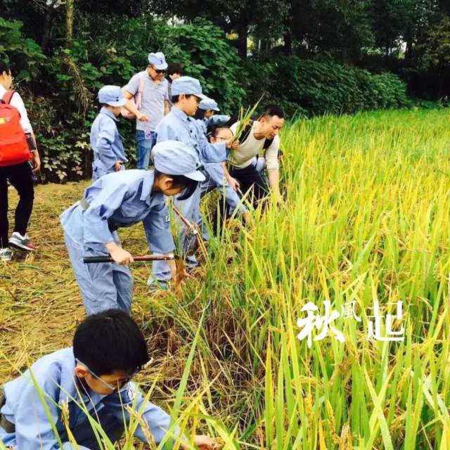 【2018秋季蚕乐谷】莫干山1932小八路从军记(送:真人cs,割稻谷挖番薯