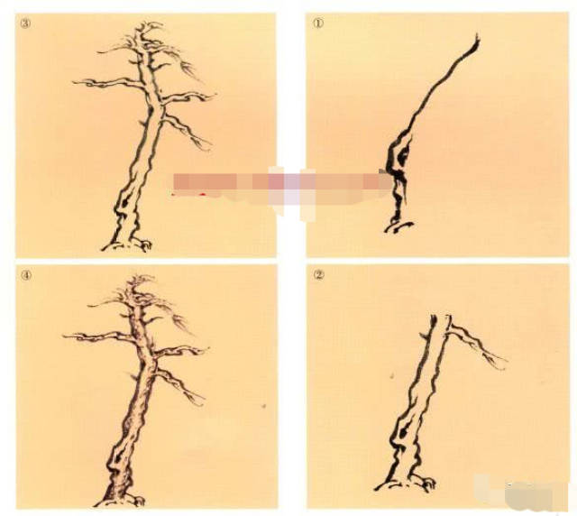 中国画技法基础教学:松树的画法详解,松树的结构与形态分析