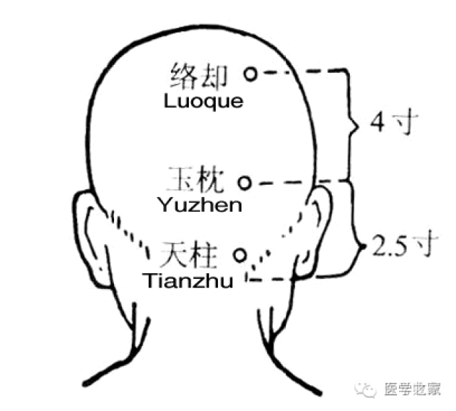 后区,当阳池与肘尖的连线上,腕背侧远端横纹上2寸,尺骨与桡骨间隙中点