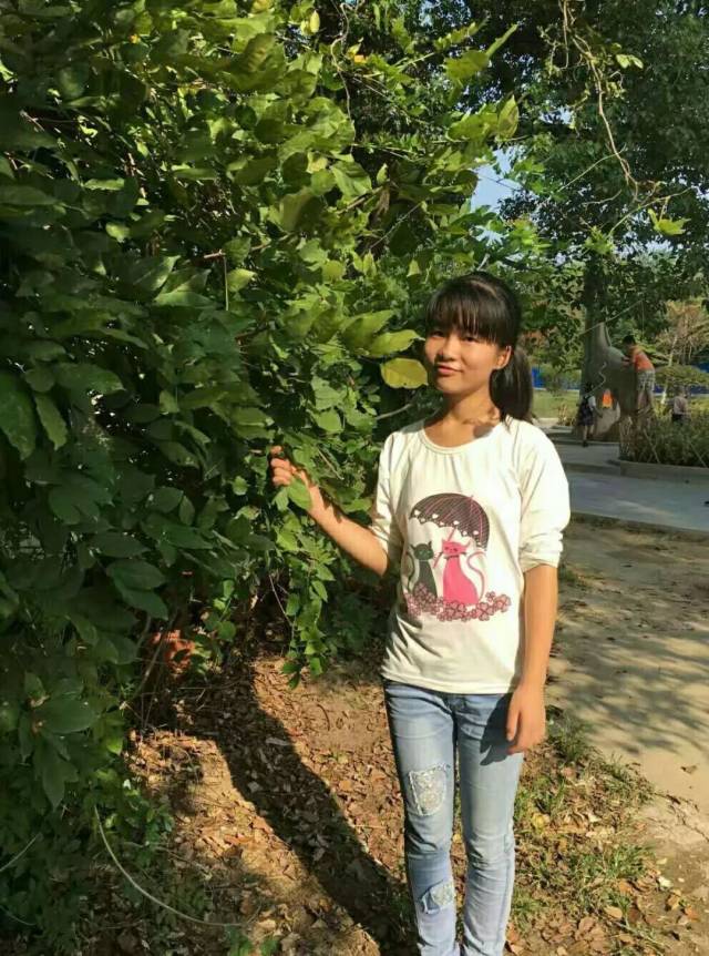 固始县永和中学936班高心雨"蝶起之时 愿梦同舞"