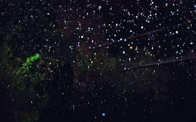 也在 低垂的穗子上 那些小星星,是 父母远离的幼儿 牵着爷爷或奶奶的