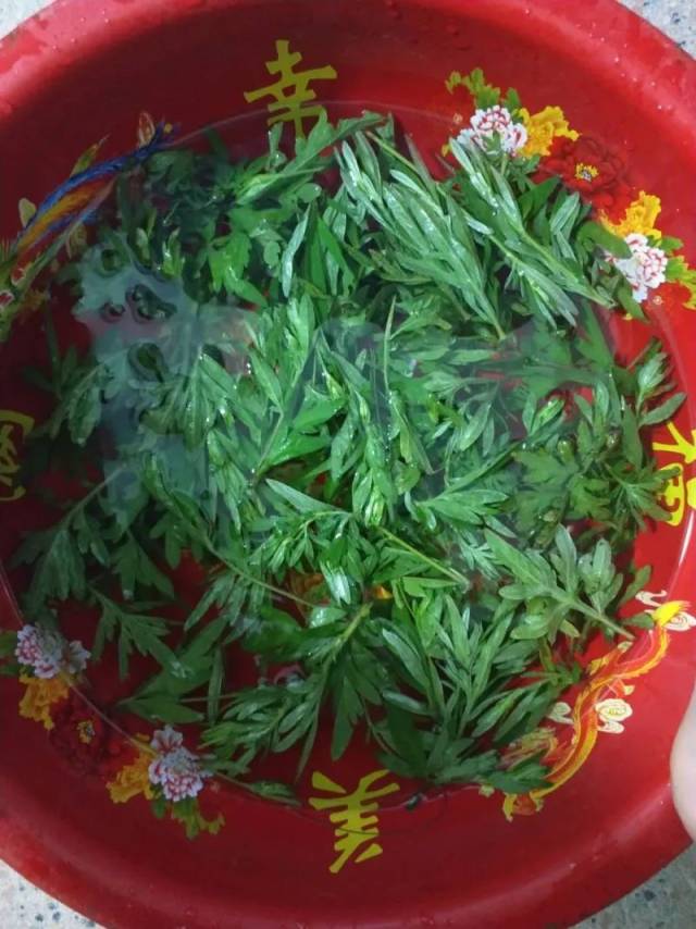 你多久没用过蒿枝和臭灵丹了 来源:玉溪那点事