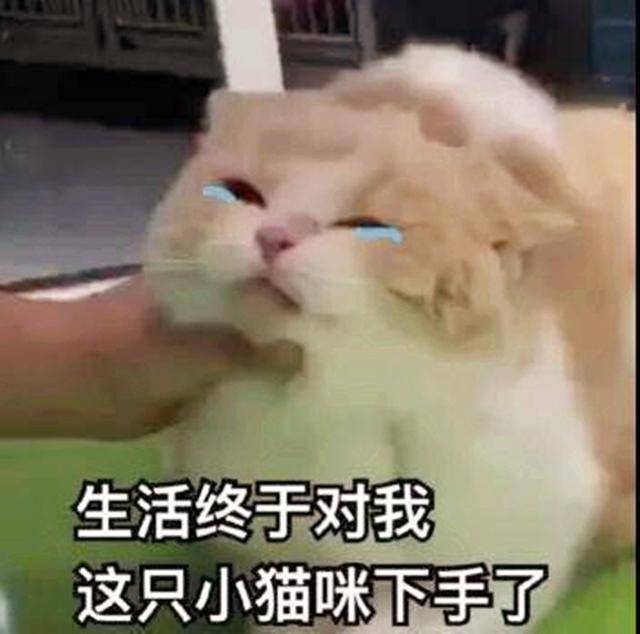 令吃货心碎的七个瞬间,网友:第二张我就开始抓狂了!