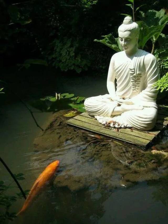 【佛祖显灵,万物来拜】居然被拍下来了,赶快看!