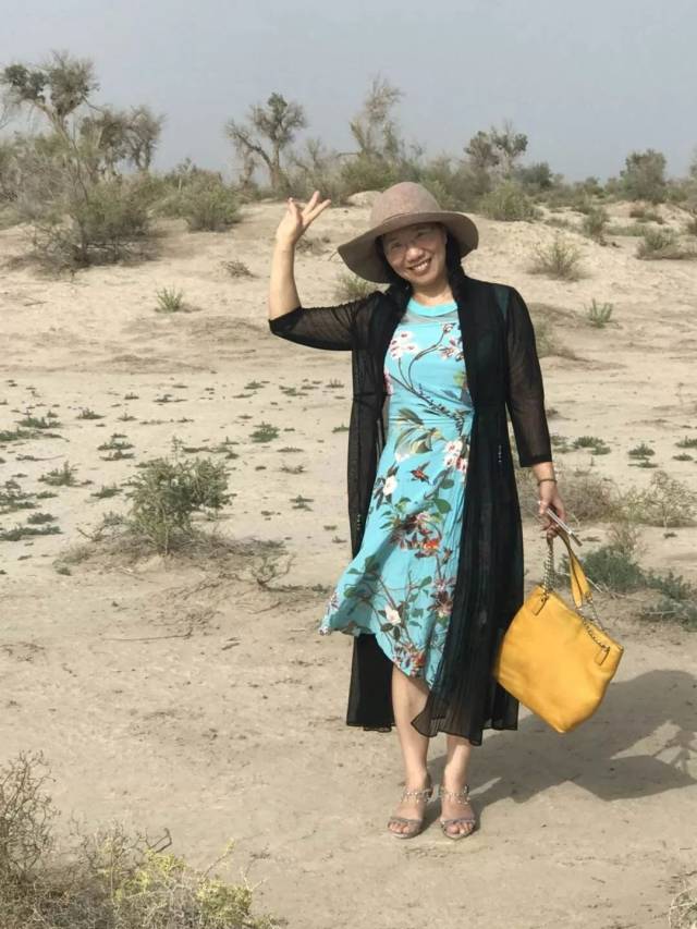 蔡燕飞教授