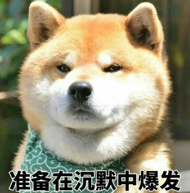 被主人骗去洗澡的柴犬，从微笑到生无可恋!网友:令人心疼!
