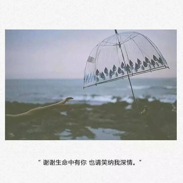 适合发微信的说说心情语句 ,触动心底的句子!