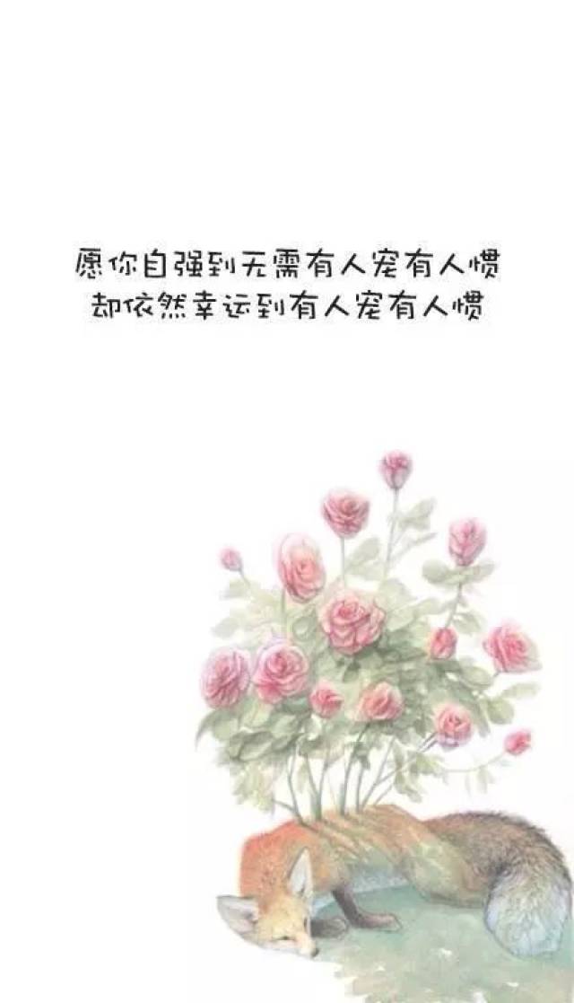 朋友圈的经典短句:希望熬过孤独的你,能活成自己喜欢的样子