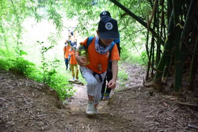 呼吸着大自然的味道 静下心来用心观察和仔细聆听 探索大自然的奥秘