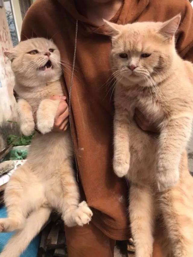ʺһ±ֻè,е._ֻ