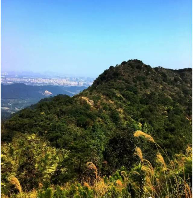 【登山穿越】08月19日 山野线穿越高明茶山 品正宗柴火走地鸡