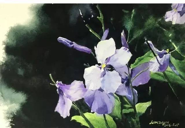 教程| 水彩花卉二月兰