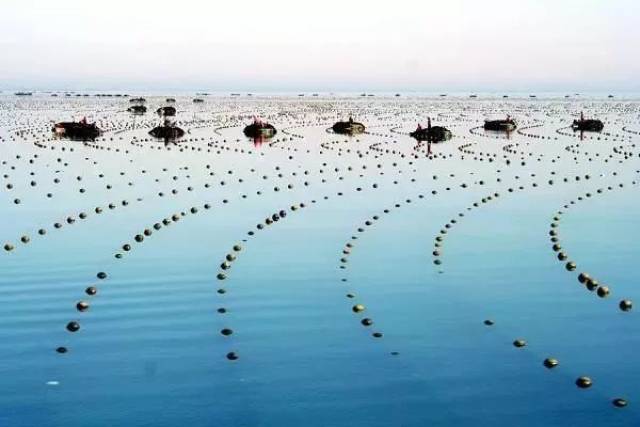 海洋牧场,风光无限,勿忘安全!