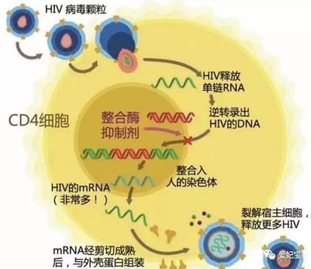 这种情况就是过敏反应或变态反应.分为速发型和迟发型.