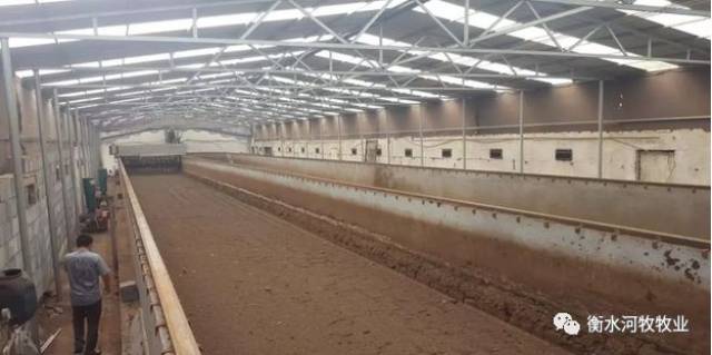 【企业动态】河牧集团董事长及河牧牧业总经理一行山东企业访问交流