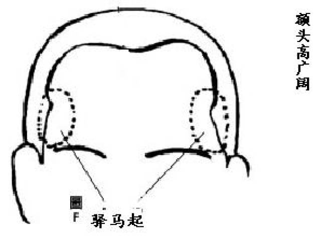 驿马骨——由颧骨延伸至耳前位置处