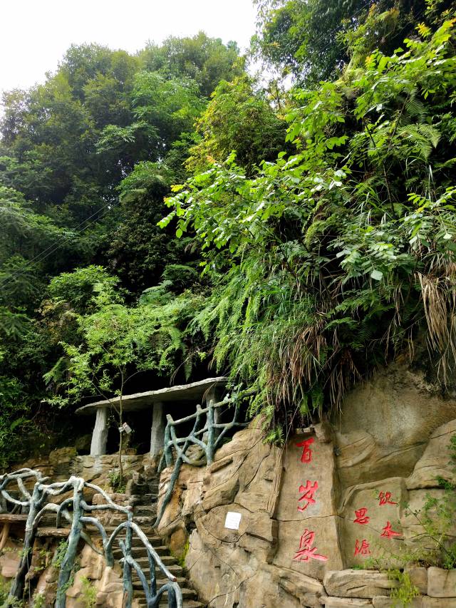 避暑好去处:贵州桐梓枕泉翠谷