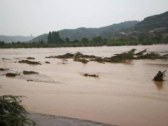 黄河佳县段水位暴涨漫过沿黄公路,村民路边戏水抓鱼