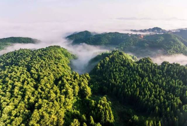 贵州下辖各市经济总量排名_贵州现代经济学校图片(2)