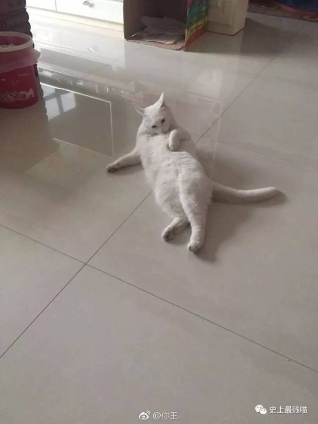 大爷来玩啊