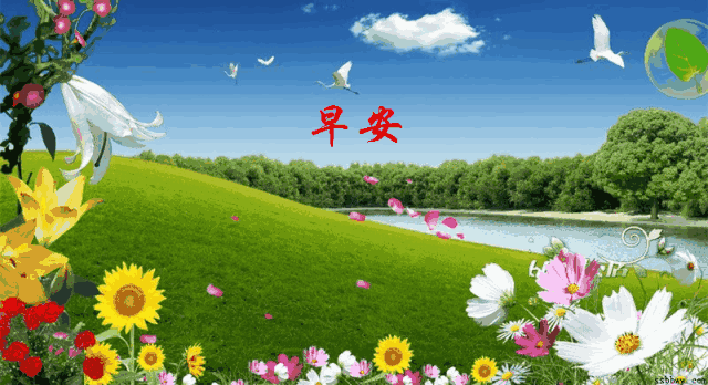 812周日愉快《早安心语》∮