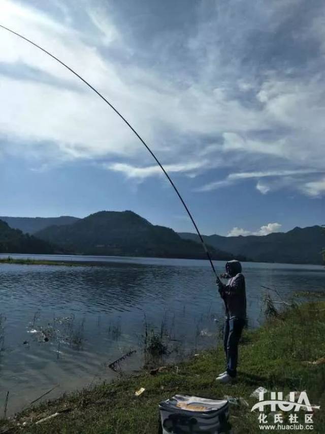 这是下竿后第5竿中鱼.