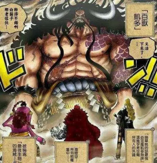 《海贼王》布蕾展示无敌果实能力,单挑四皇凯多都不惧