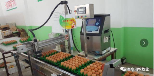 【企业动态】河牧集团董事长及河牧牧业总经理一行山东企业访问交流