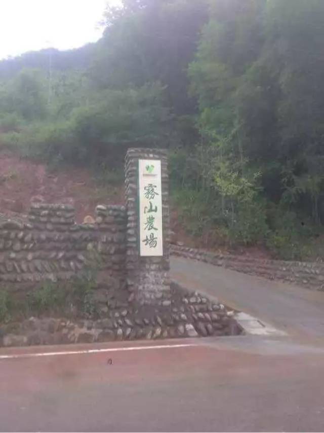 从成都到大邑县,我们没有住在县城,而是住在大邑县一个叫做"雾山农场