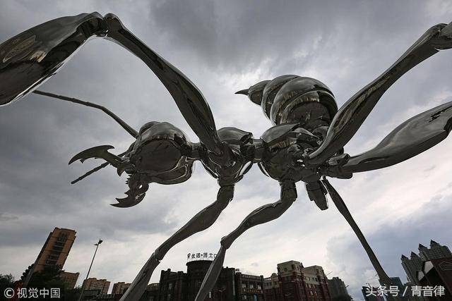 2018年8月11日,哈尔滨,一只10吨重的巨型蚂蚁雕塑趴在西城红场上 图片