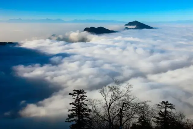 便是真正登上了瓦屋山的高原平台,瓦屋山山顶平台面积达11平方公里