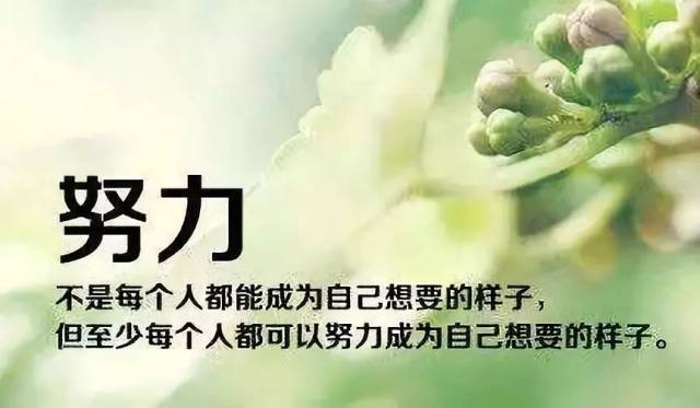 愿每一份坚持和努力都不被辜负!