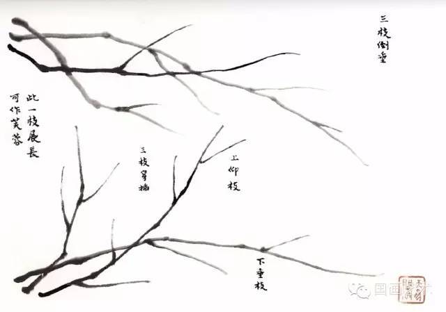 吴蓬临《芥子园画谱》之《草虫花卉谱》