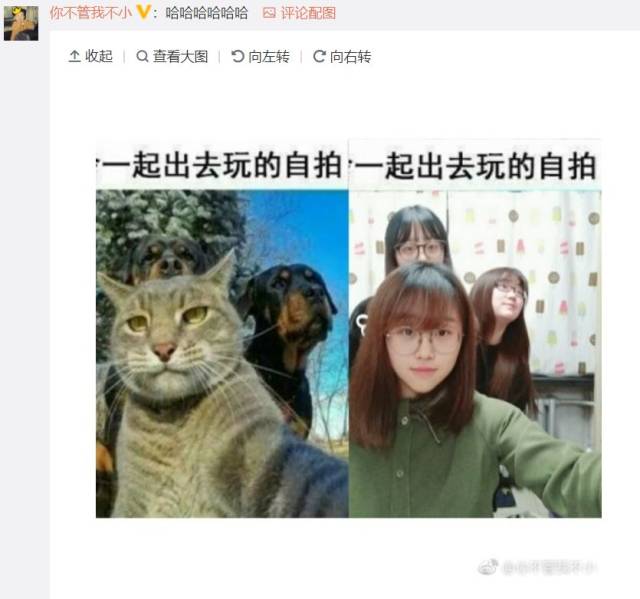 结果底下评论迎来一大批网友的雕像cos照片 真是沙雕网友欢乐多 ▽
