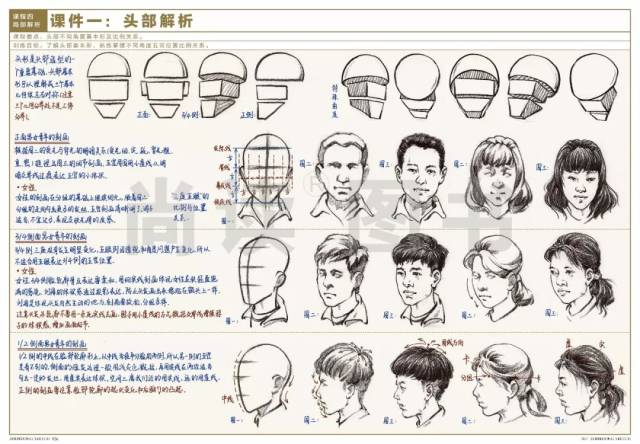 0》-振东速写全面升级,30余个课件内容 视频讲解 200余张精品范画