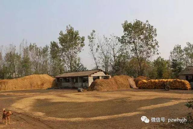 乡村纪事:消逝的打谷场(谭丰华)