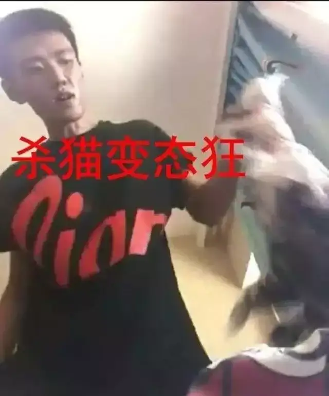 虐猫拍视频逼女友复合!丧心病狂!