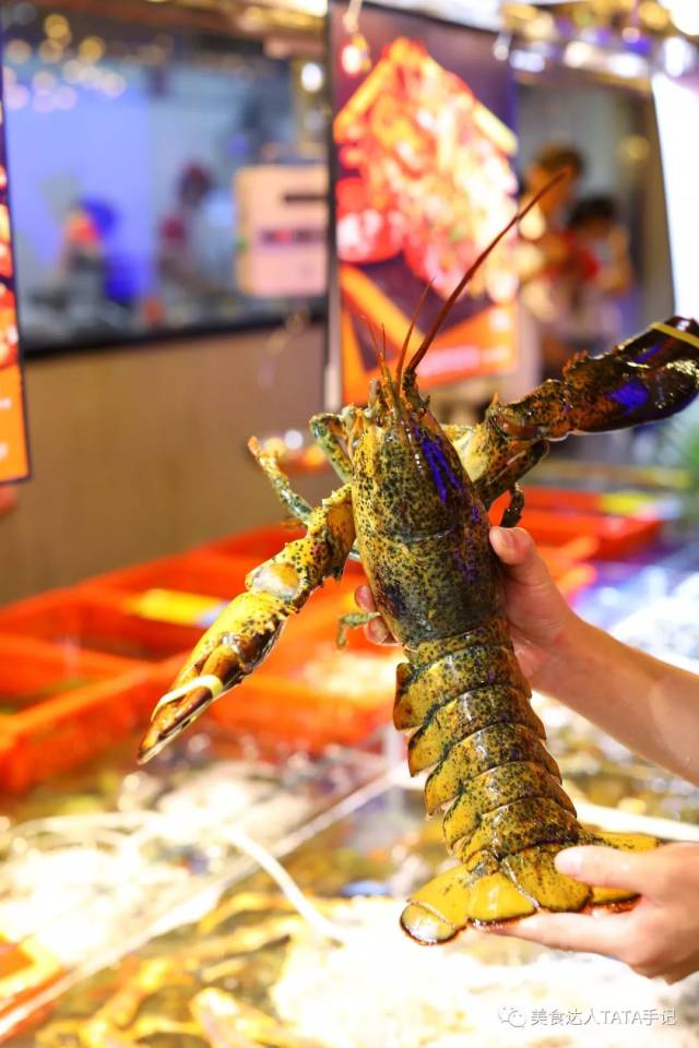 这艘5000平方的超级渔船开到广州 | 200+种海