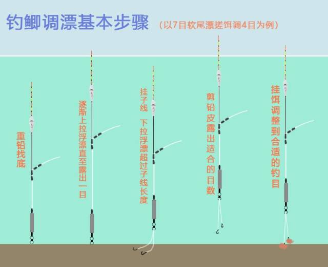 最基础的钓鲫调漂方法,新手也能连竿爆护了!