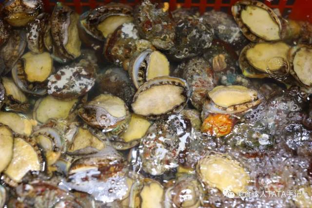 这艘5000平方的超级渔船开到广州 | 200+种海