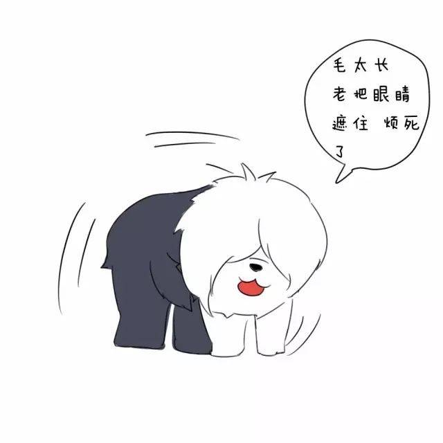 不断舔舐身体的某个部位