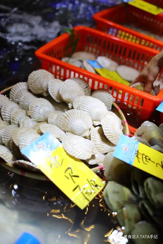 这艘5000平方的超级渔船开到广州 | 200+种海