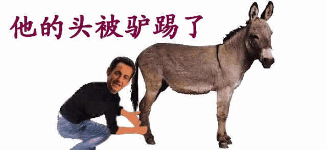 驴排名