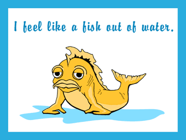 太变态了!本土小学生用的英语成语,你都知道几