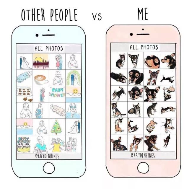˵ֻvsֻ