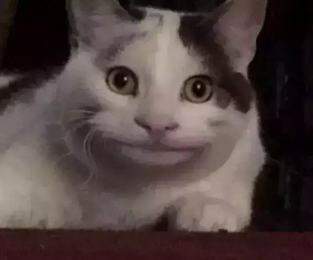一脸蜜汁假笑的喵星人爆红, 真有这样的猫吗你不要骗我!