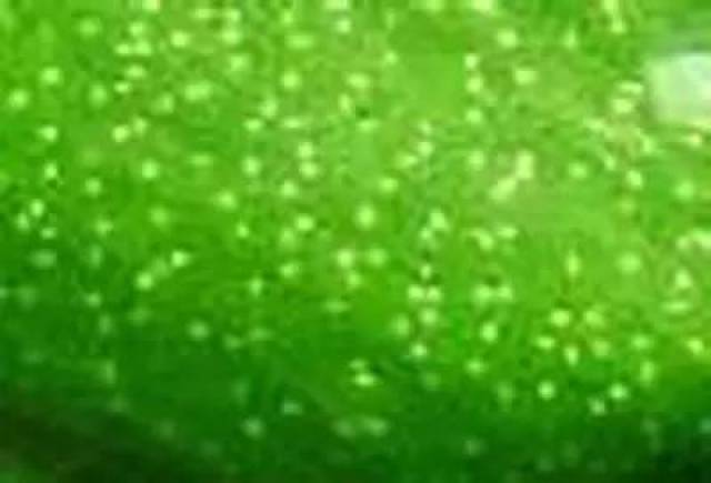 给大家50张绿色屏保,常看手机的一定要存下!
