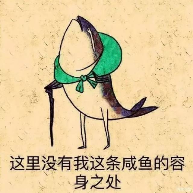 喂,做一条有梦想的咸鱼!