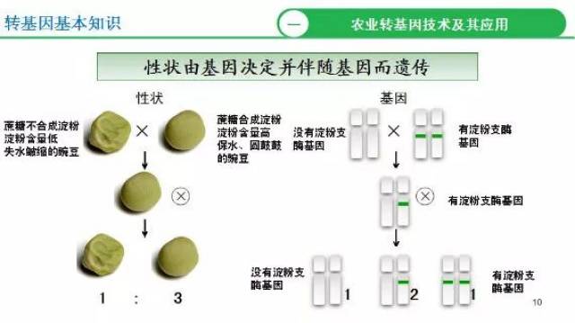 农业转基因技术的前世今生,你get到了吗?