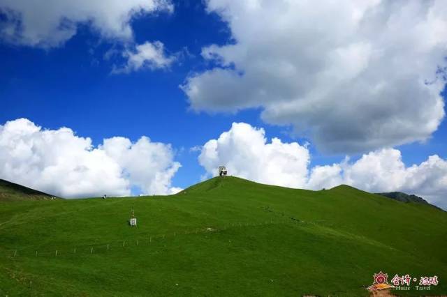 八月云南会泽大海草山风光【组图-旅游频道-手机搜狐